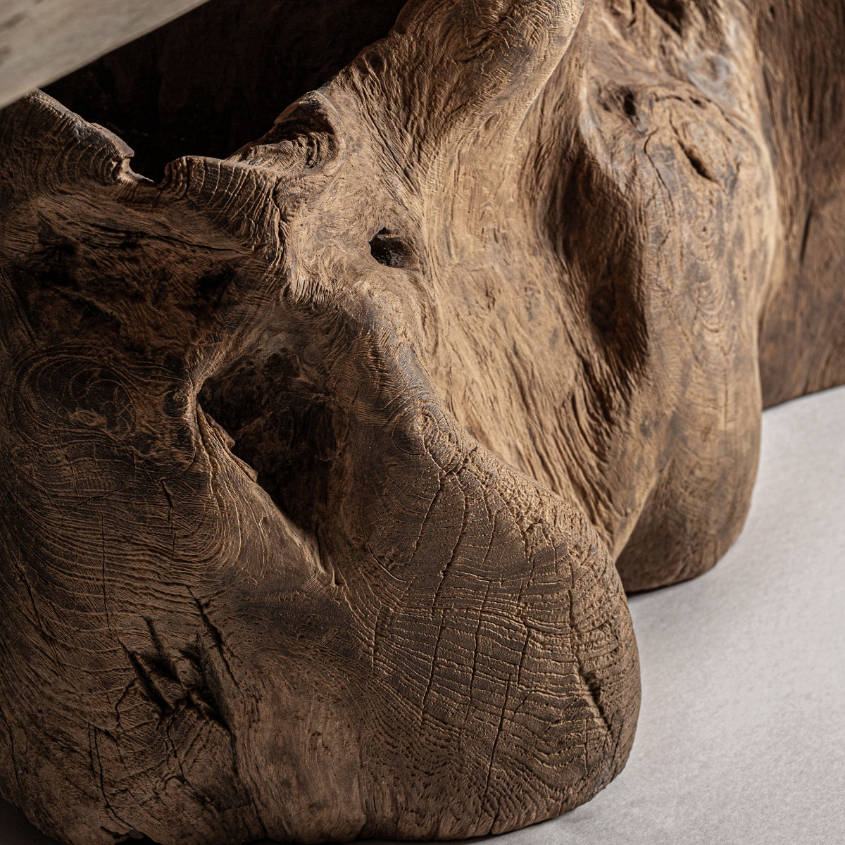 Textura rugosa y curva de la base de raíz, pieza rústica con carácter