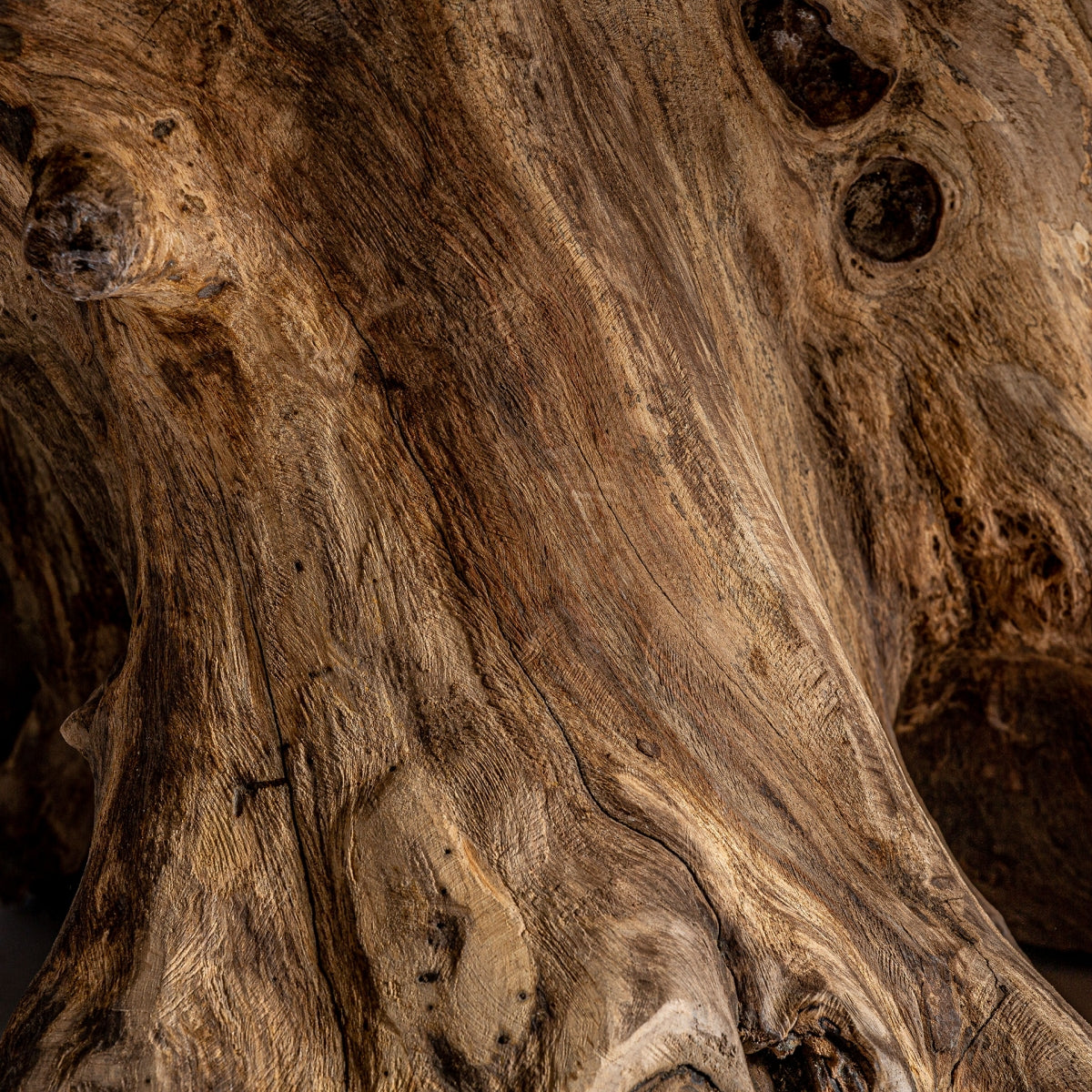 Acercamiento a la base de raíz natural con texturas orgánicas y acabado sin tratar.