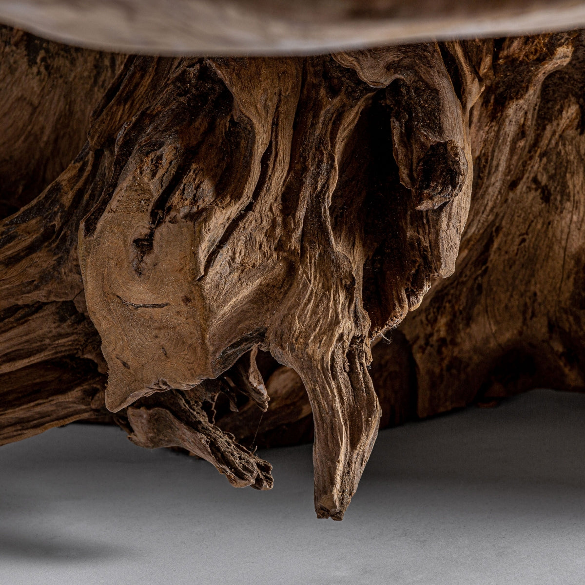 Vista en primer plano de la textura rugosa de la raíz que sirve como soporte escultórico de la mesa AHRAS.