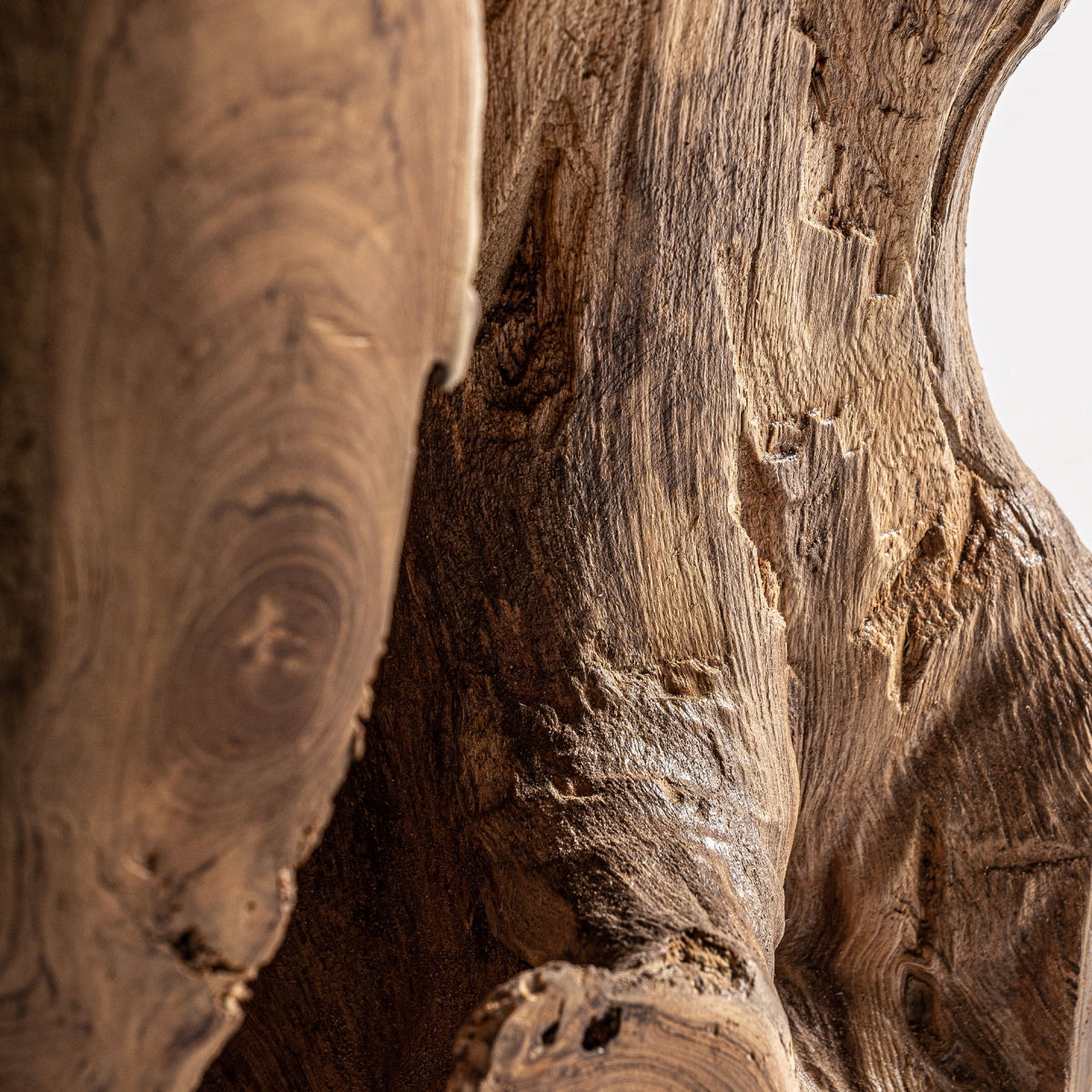 Detalle de textura orgánica de la madera envejecida en mesa auxiliar de raíz – boutique interiorismo VICAL